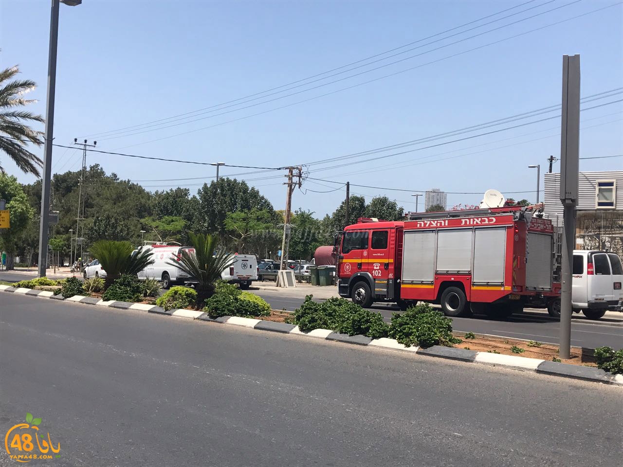 bentsfbuyvey (5).jpg